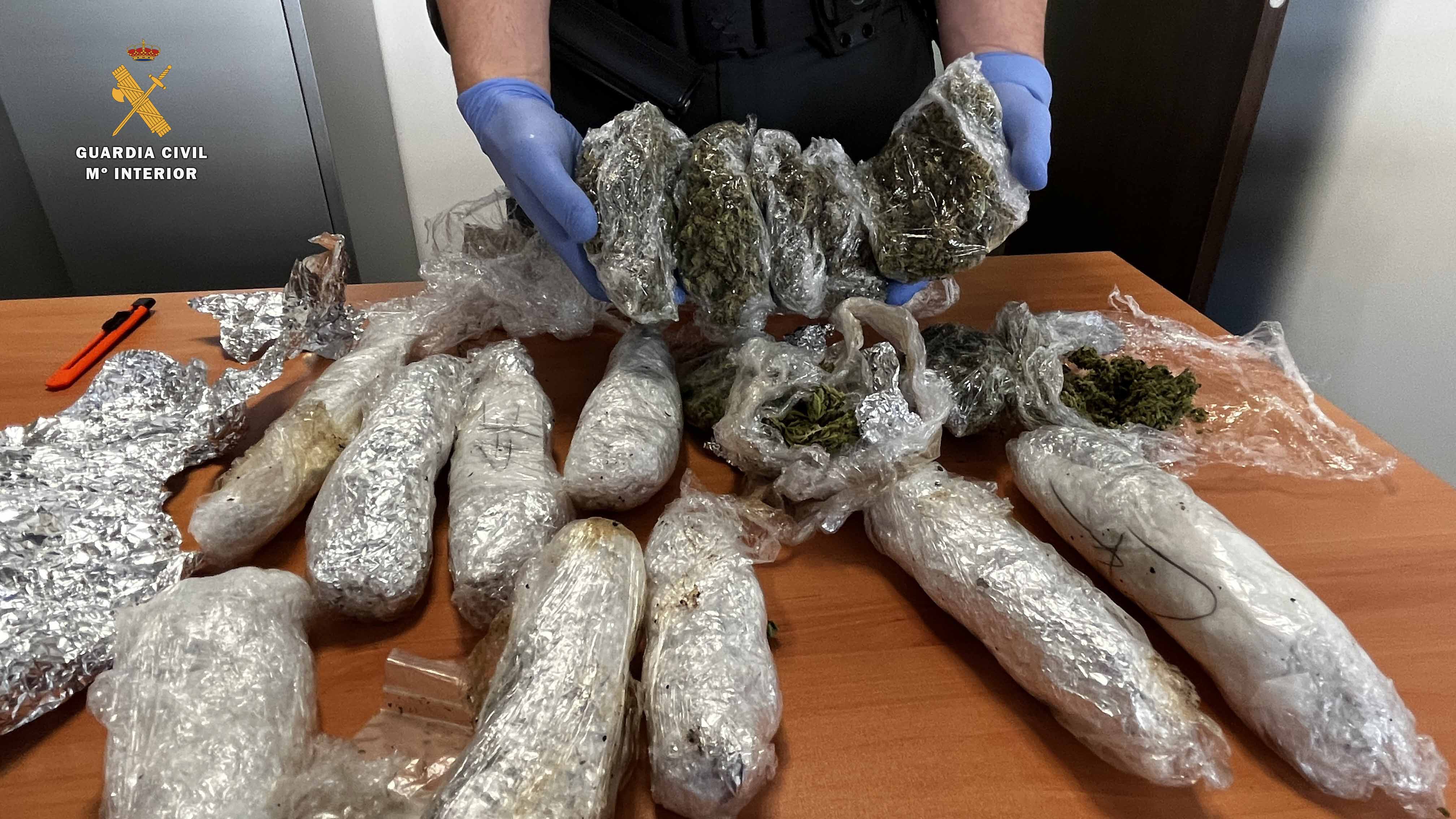Marihuana intervenida 4