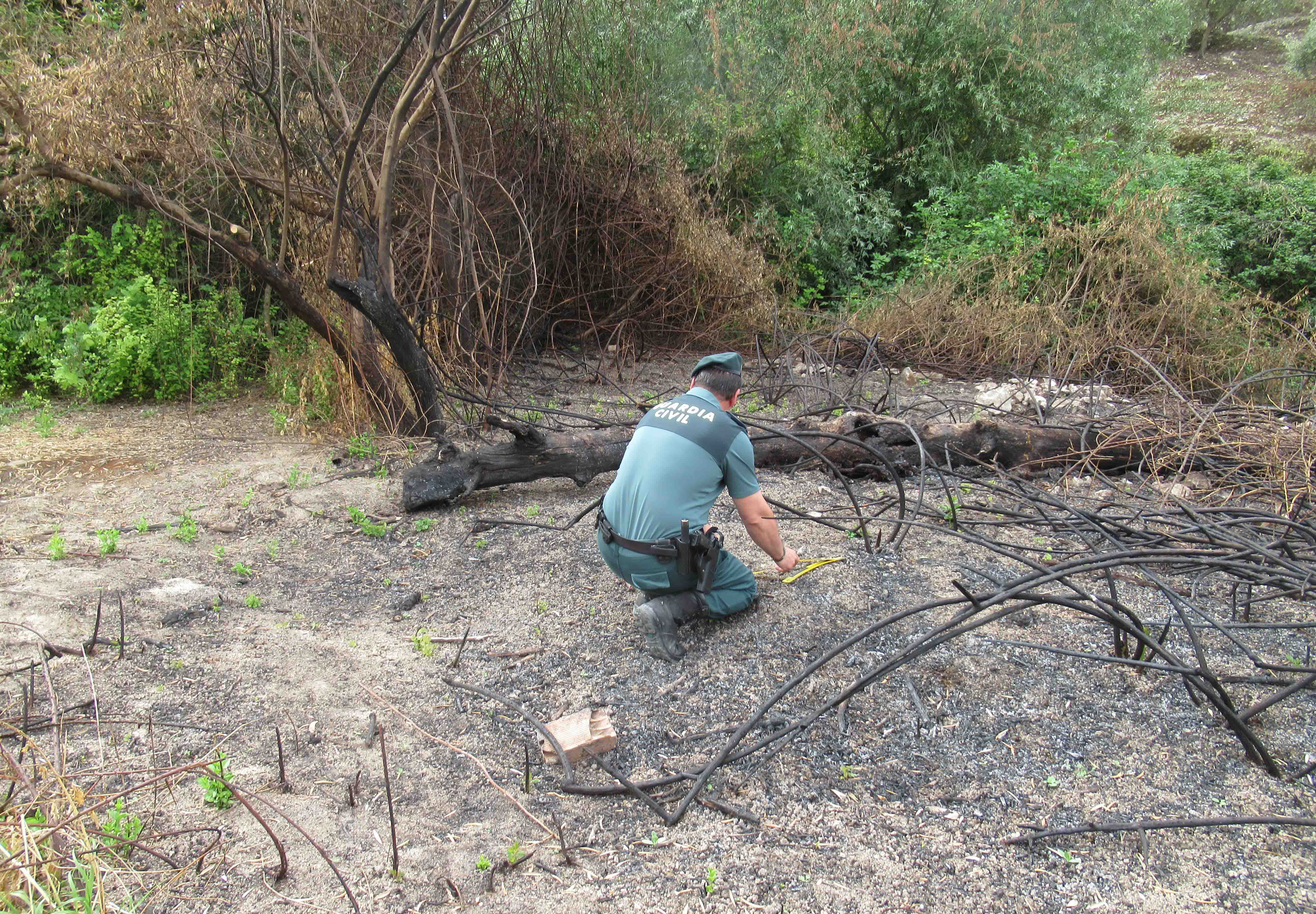 NP 4 seprona Incendio Baena 3