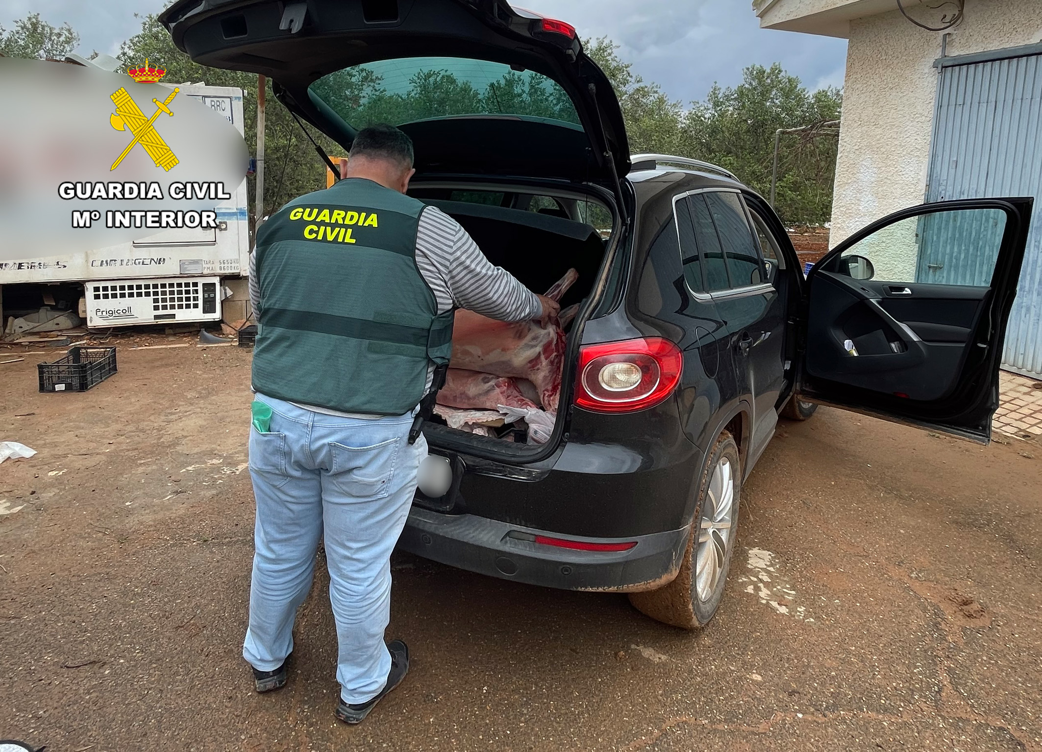 OP KHARUF DETENIDOS ROBO CORDEROS CAMPO CARTAGENA ROCA CT 01