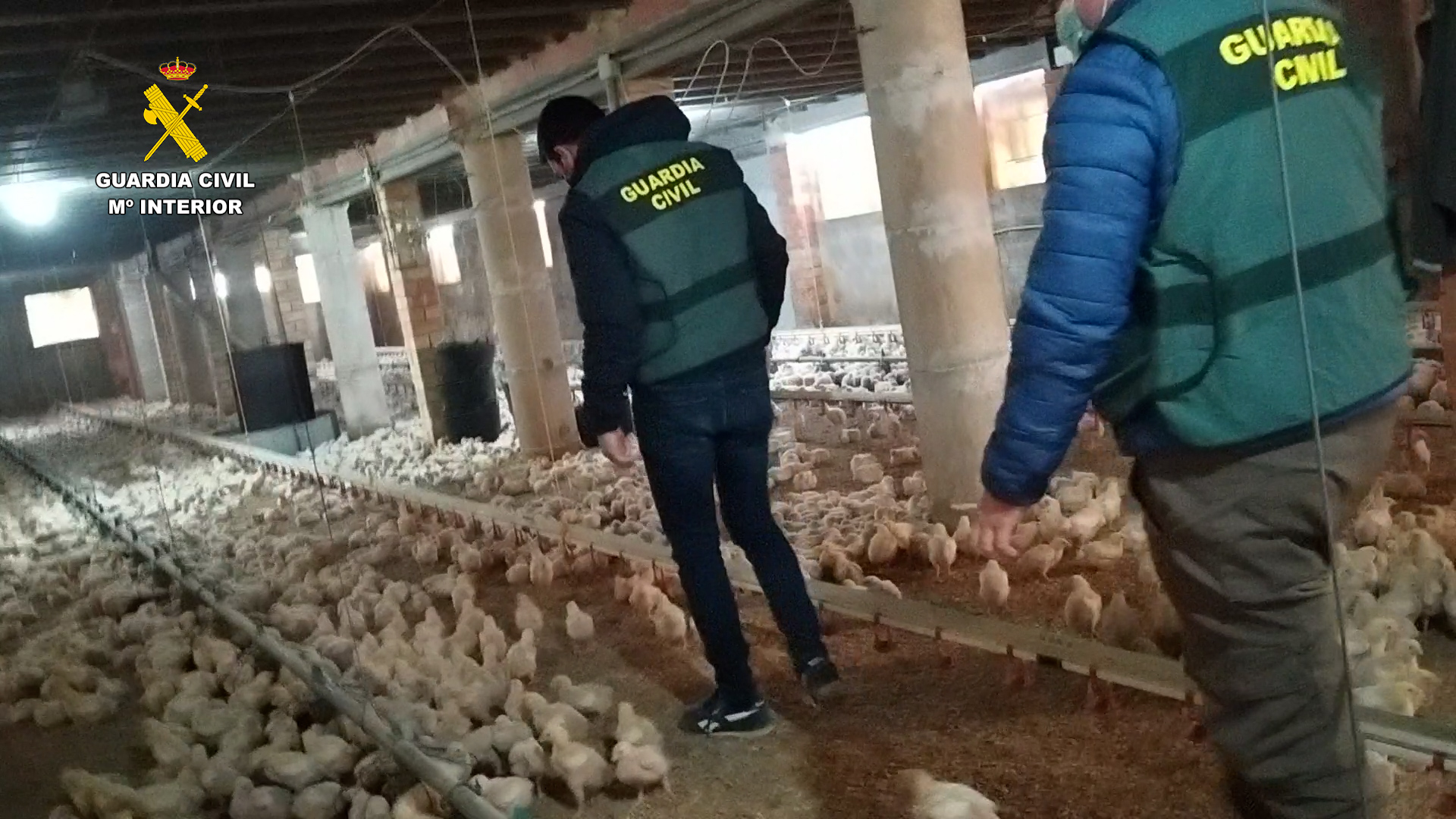 Op Avicob II valencia editada.00 00 16 15.Imagen fija001