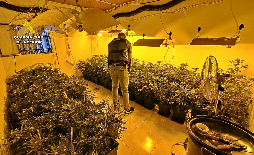 Op Golden Flight plantacion badajoz