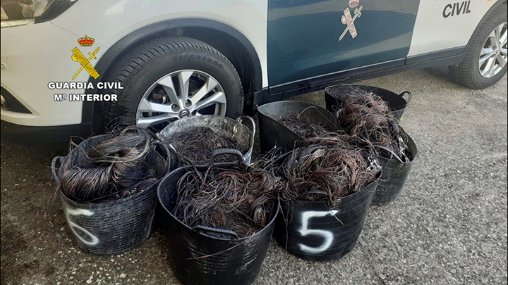 Operacion mangucha caceres