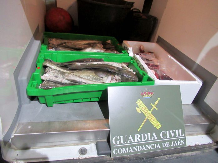 PACIAP BACALAO PULPO