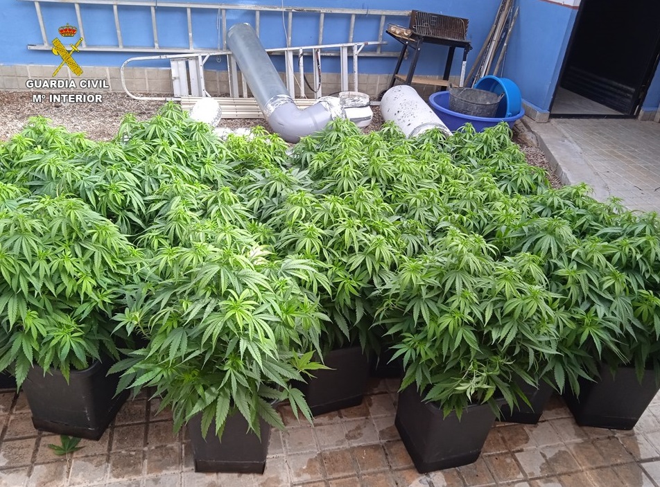 PLANTAS 1