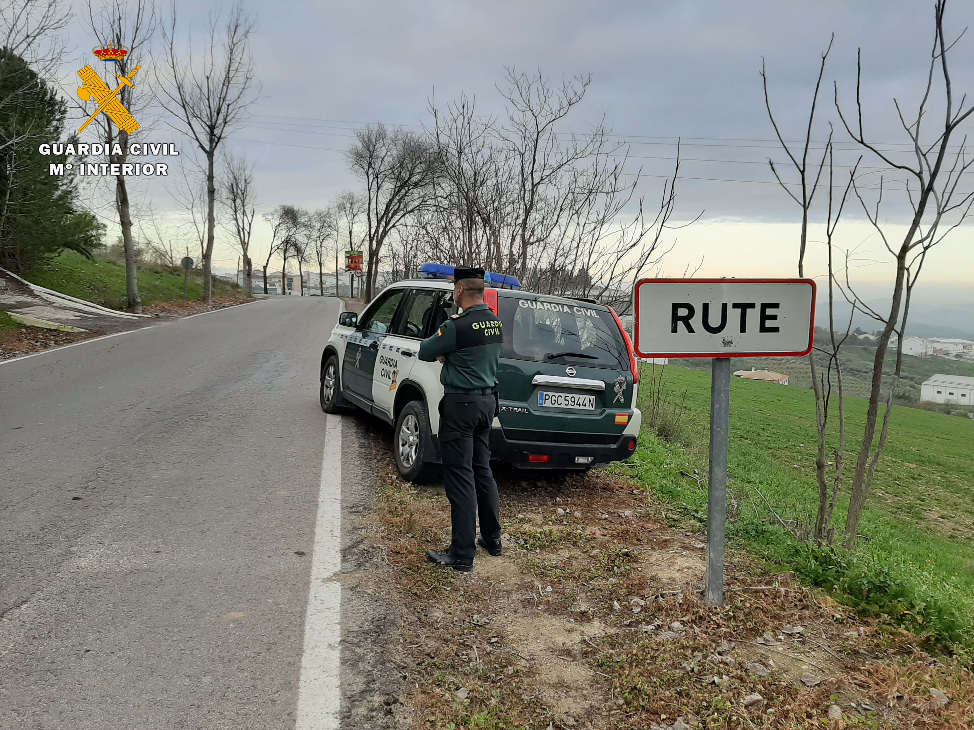 PTO RUTE 3