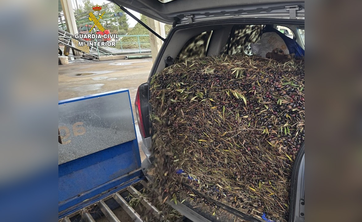 Presentación robo aceitunas