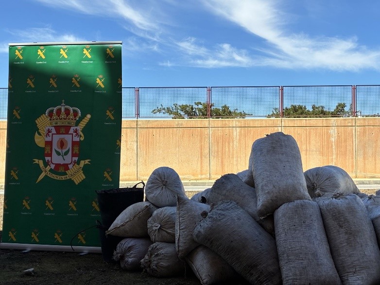 ROBOS GRANADA 010426