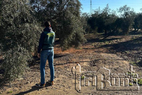 ROCA ANDÚJAR marca agua