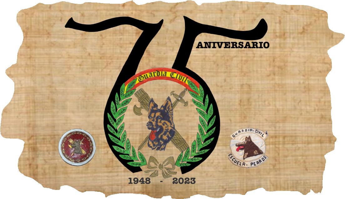 Recorte aniversario