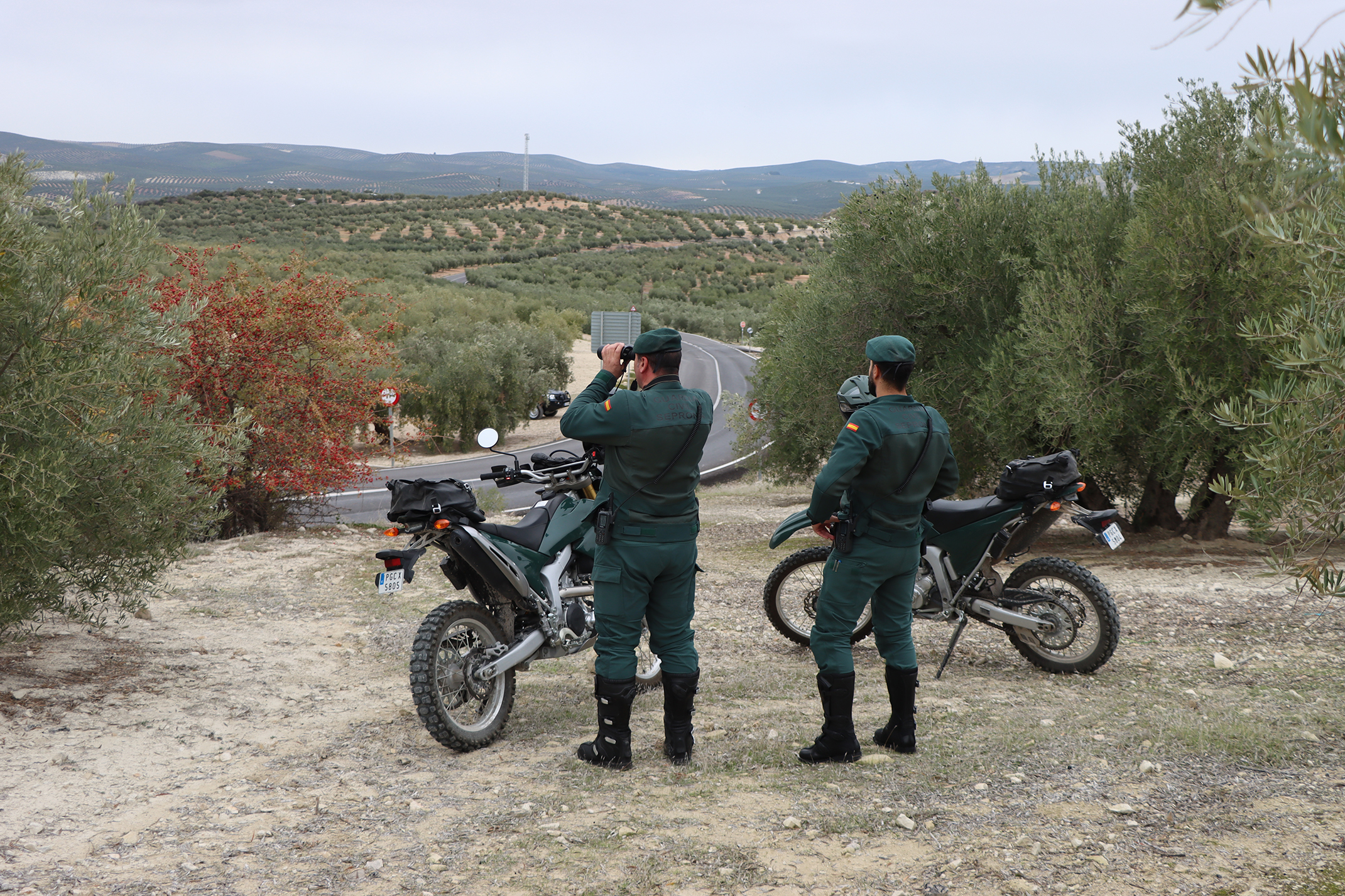 SEPRONA MOTOS2