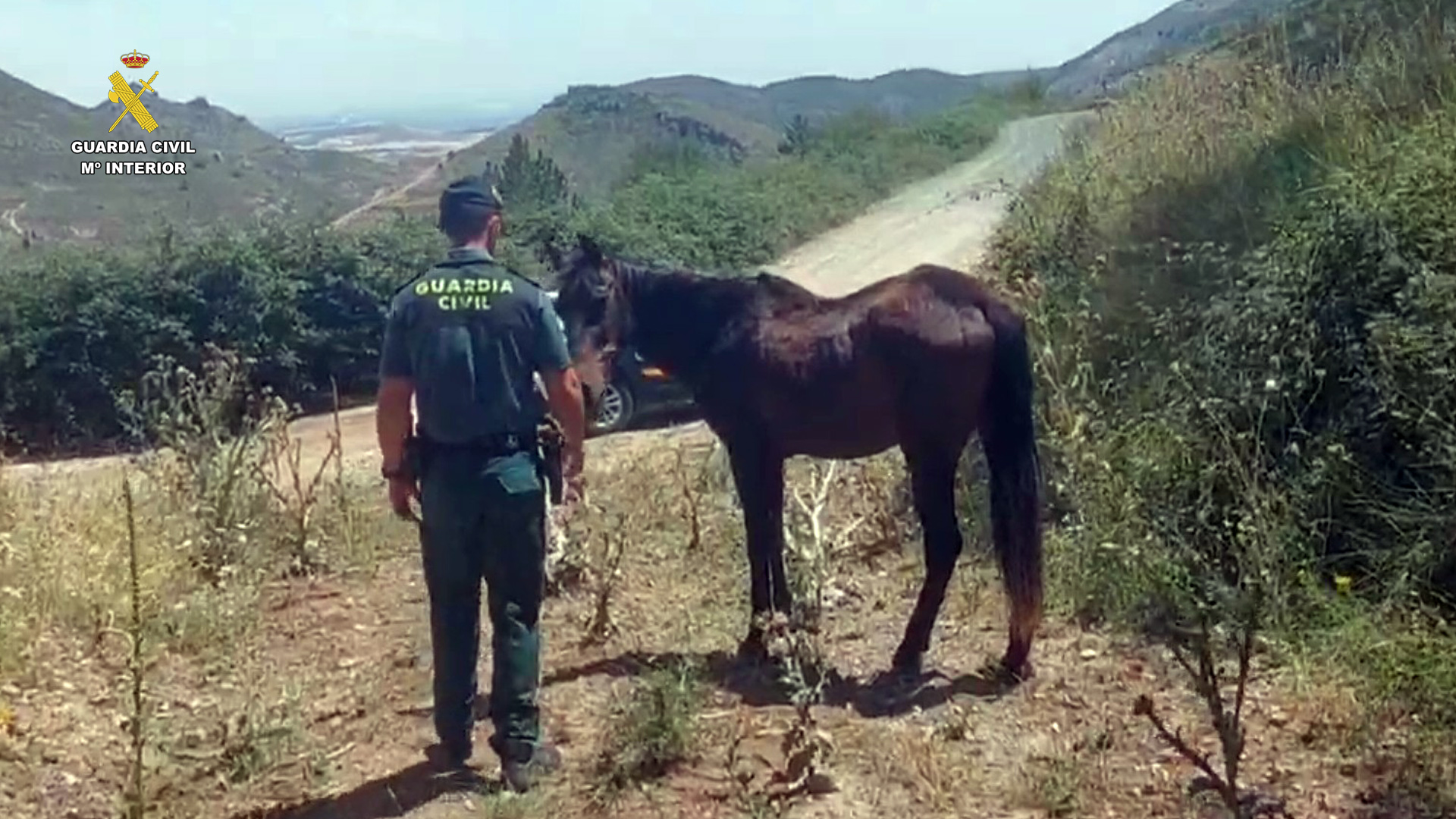 Seprona maltrato animal 6