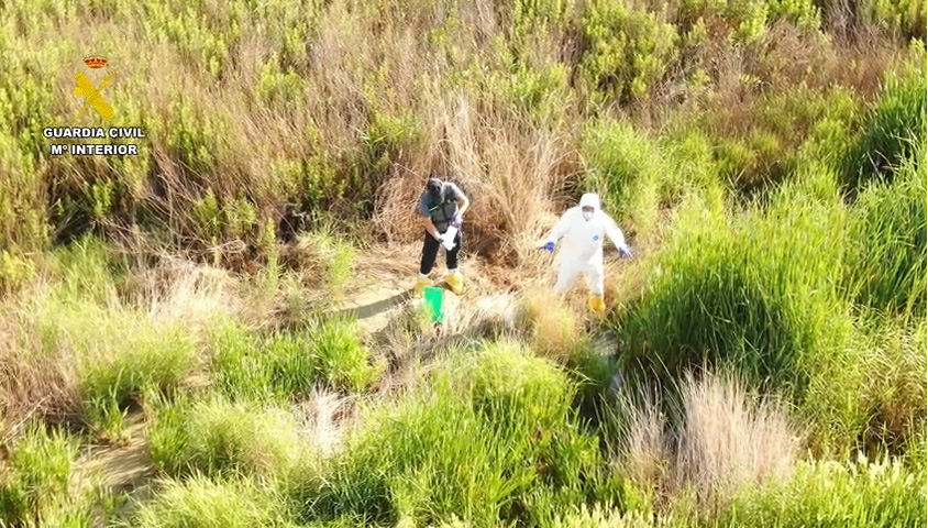 Seprona Guardia Civil Madrid