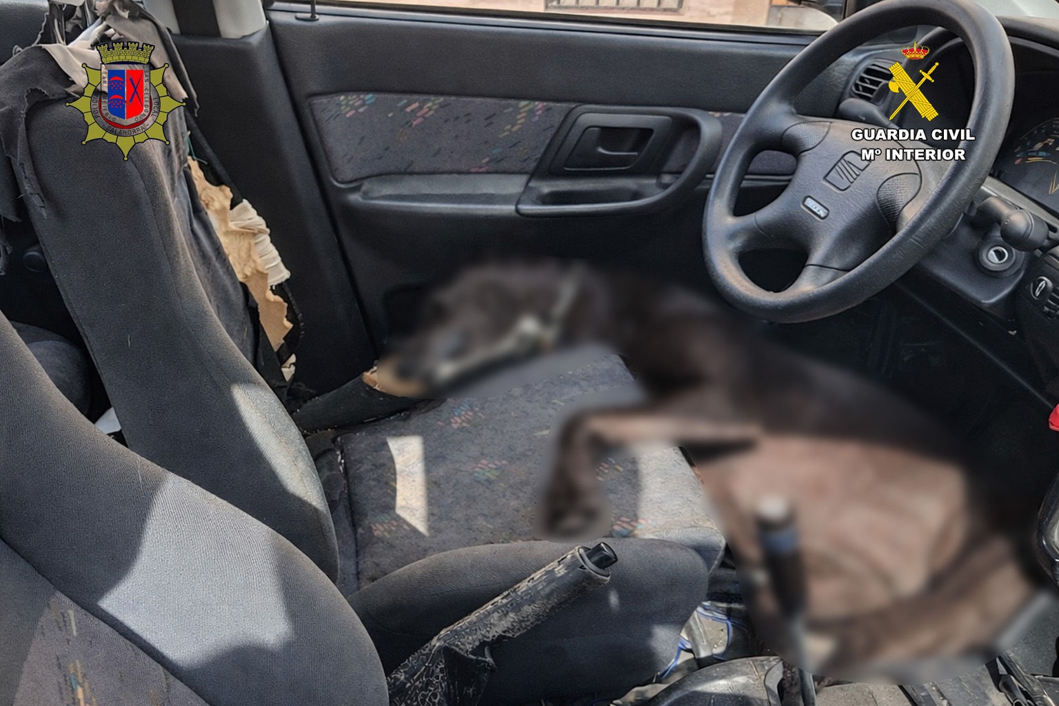 Seprona Policia Local perro muerto