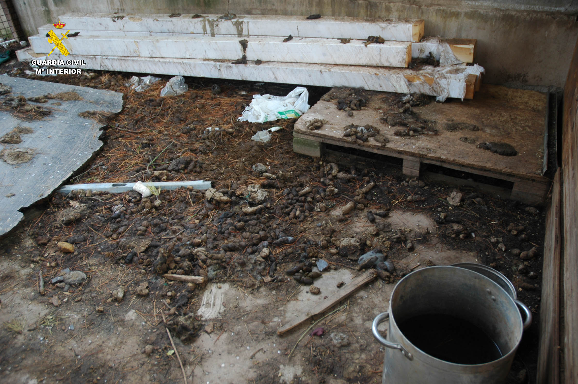 Seprona investigado maltrato animal 2