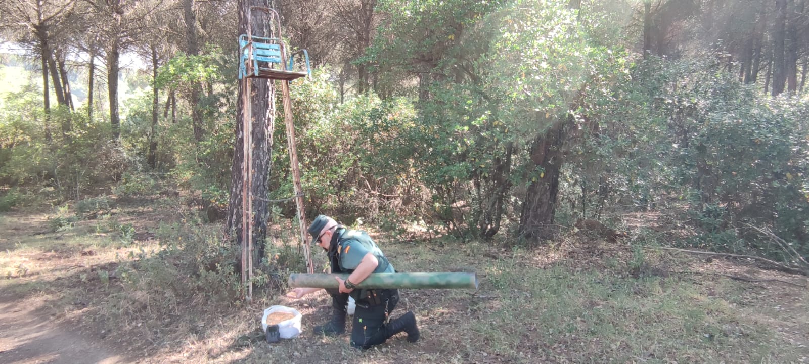 TRASSSIERRA CAZA FURTIVA