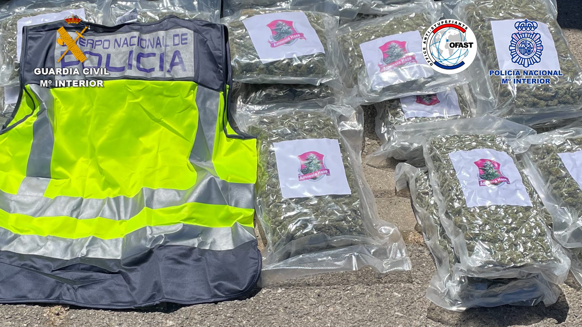 WhatsApp Image 2022 07 11 at 9.00.52 AM