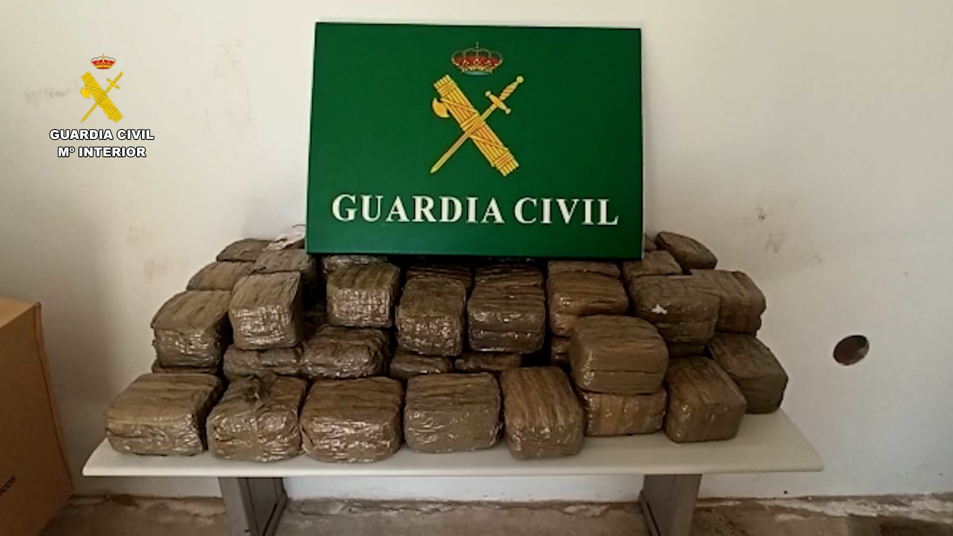 WhatsApp Image 2023 05 12 at 10.46.50