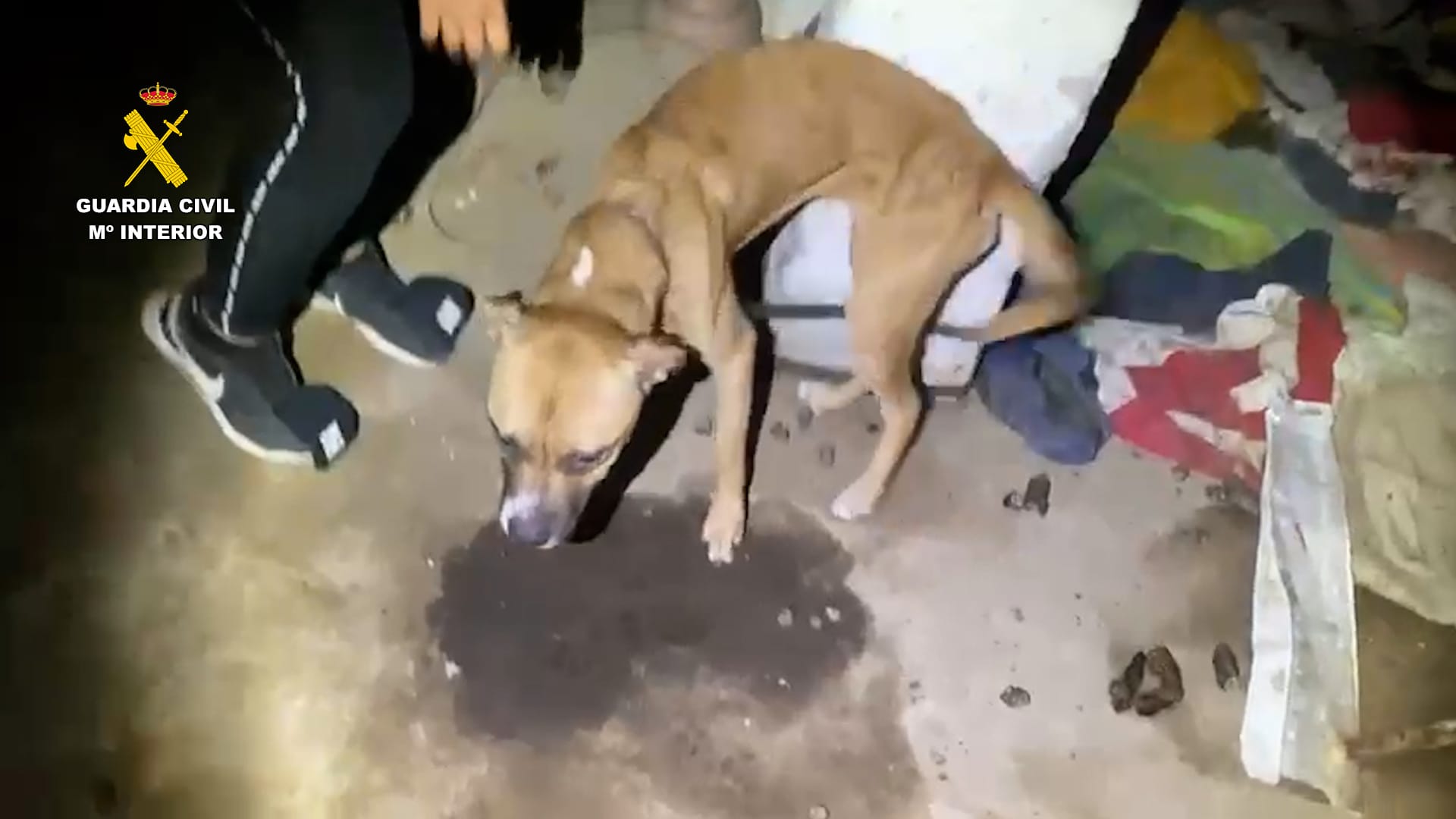 WhatsApp Image 2023 08 15 at 12.07.53