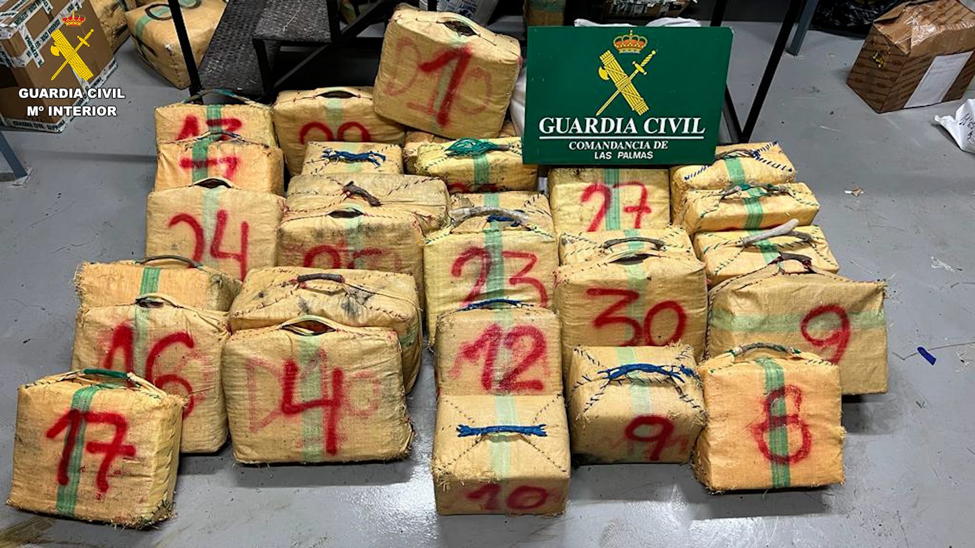 WhatsApp Image 2023 09 12 at 13.45.09