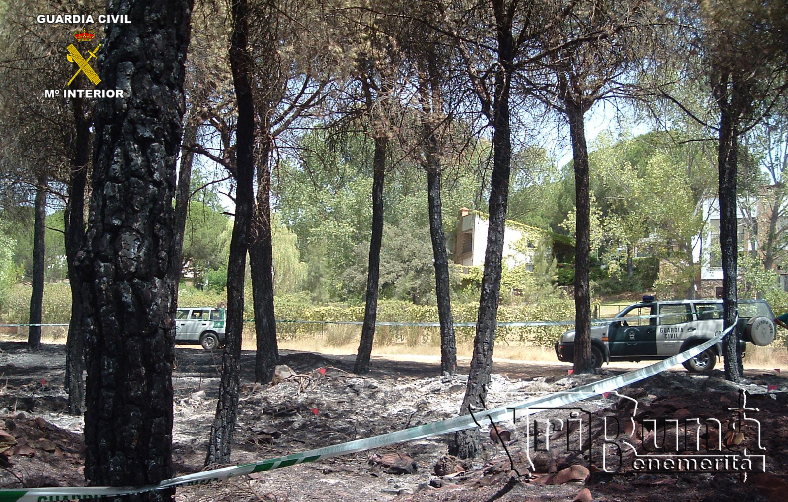 WhatsApp Image 2024 08 28 at 11.57.22