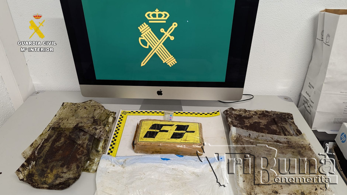 WhatsApp Image 2024 09 13 at 13.14.46