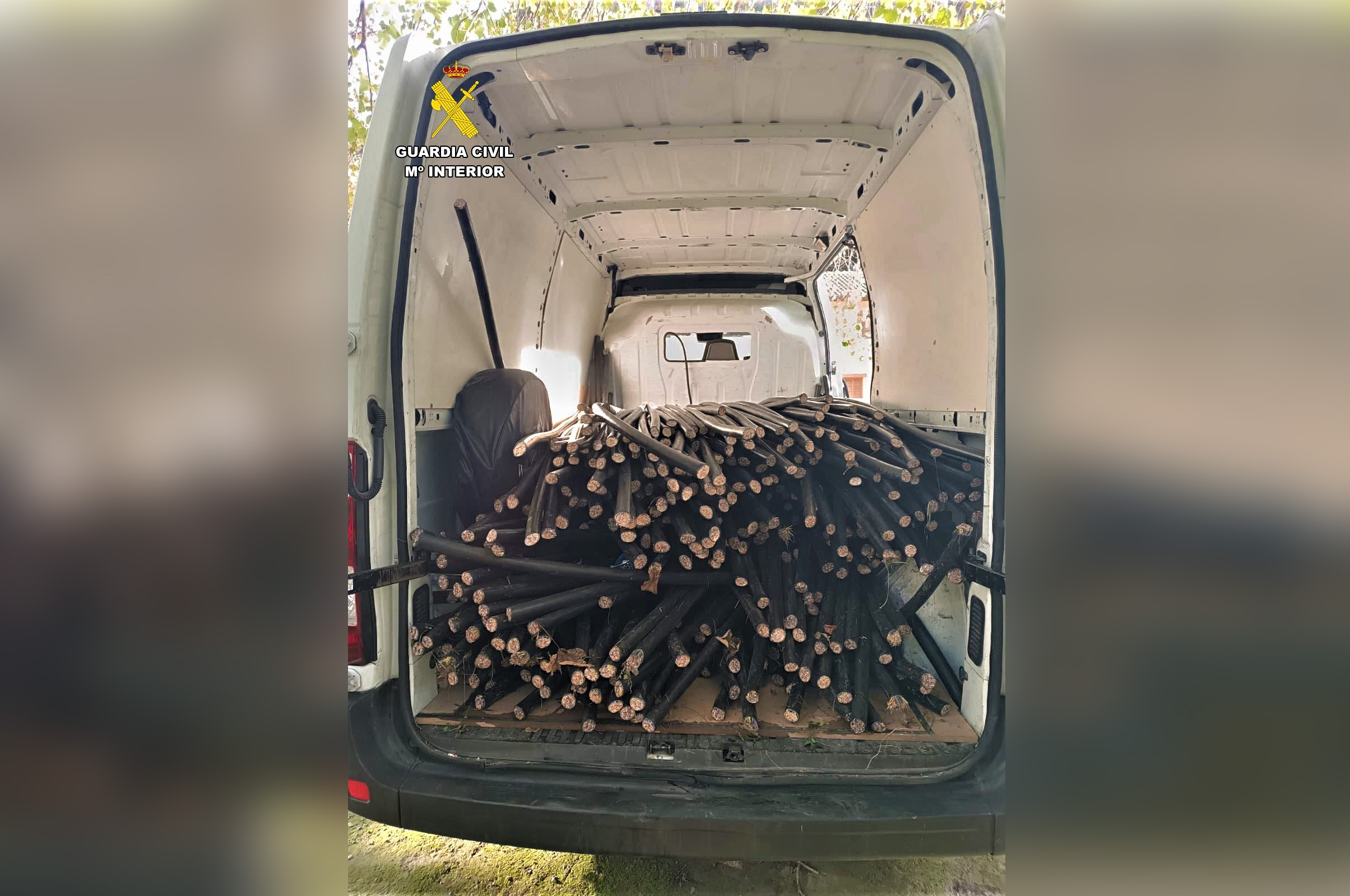 WhatsApp Image 2024 11 11 at 12.30.42