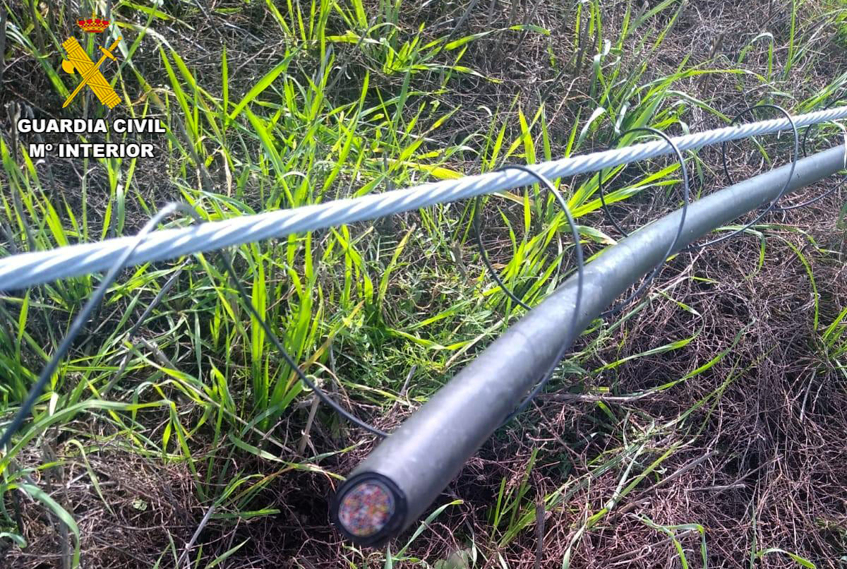 WhatsApp Image 2024 12 02 at 08.43.28