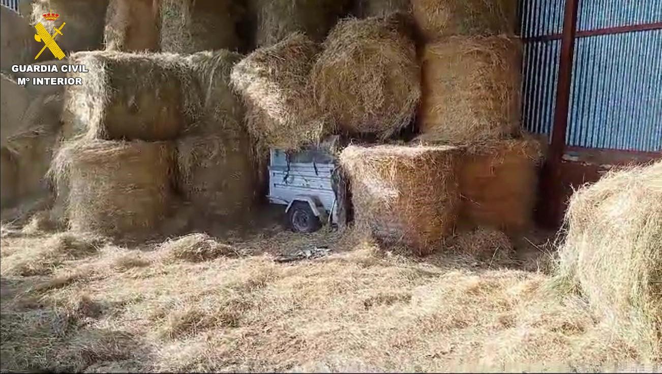 WhatsApp Image 2024 12 03 at 09.52.04