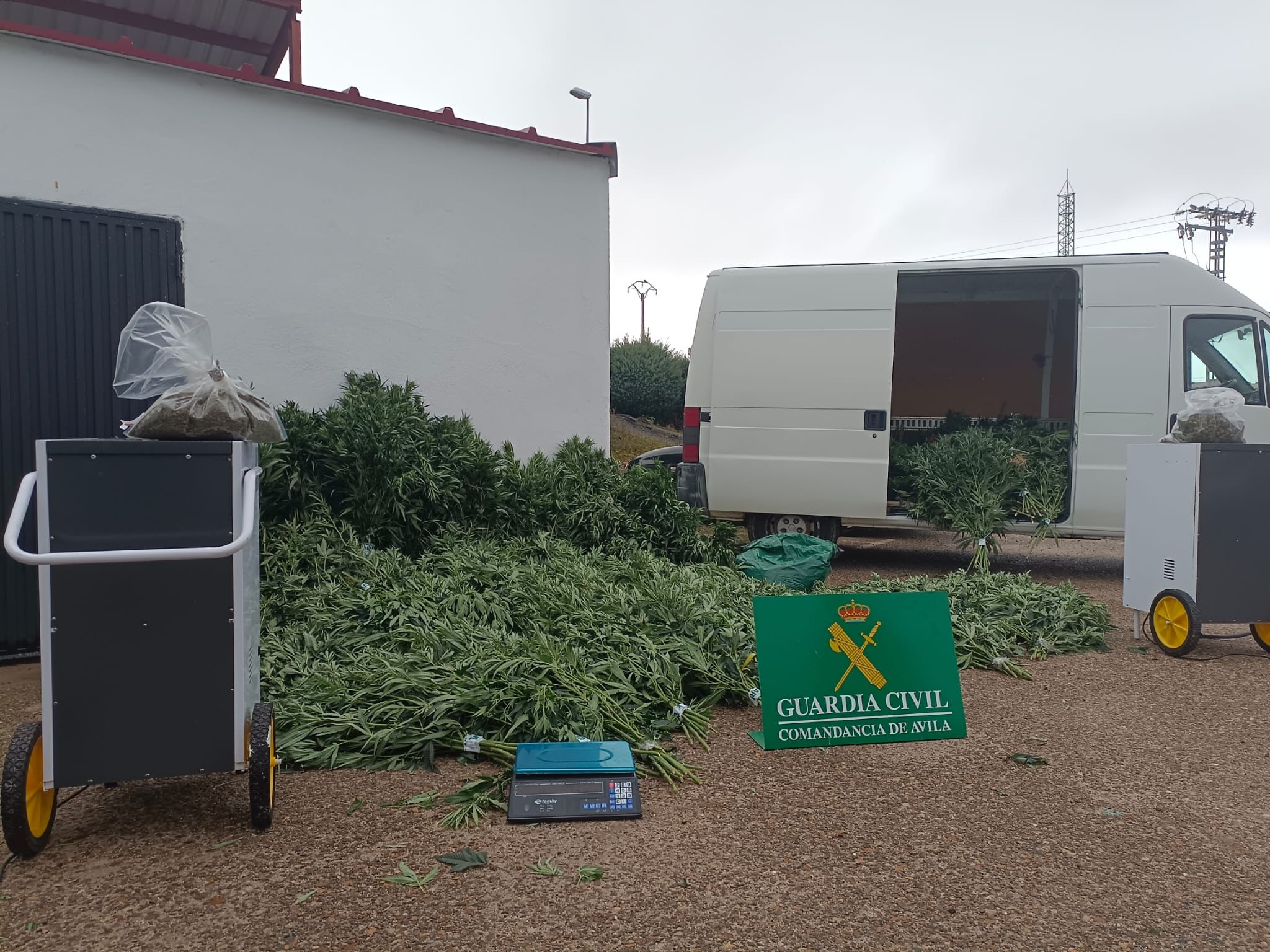 WhatsApp Image 2025 03 25 at 13.10.46