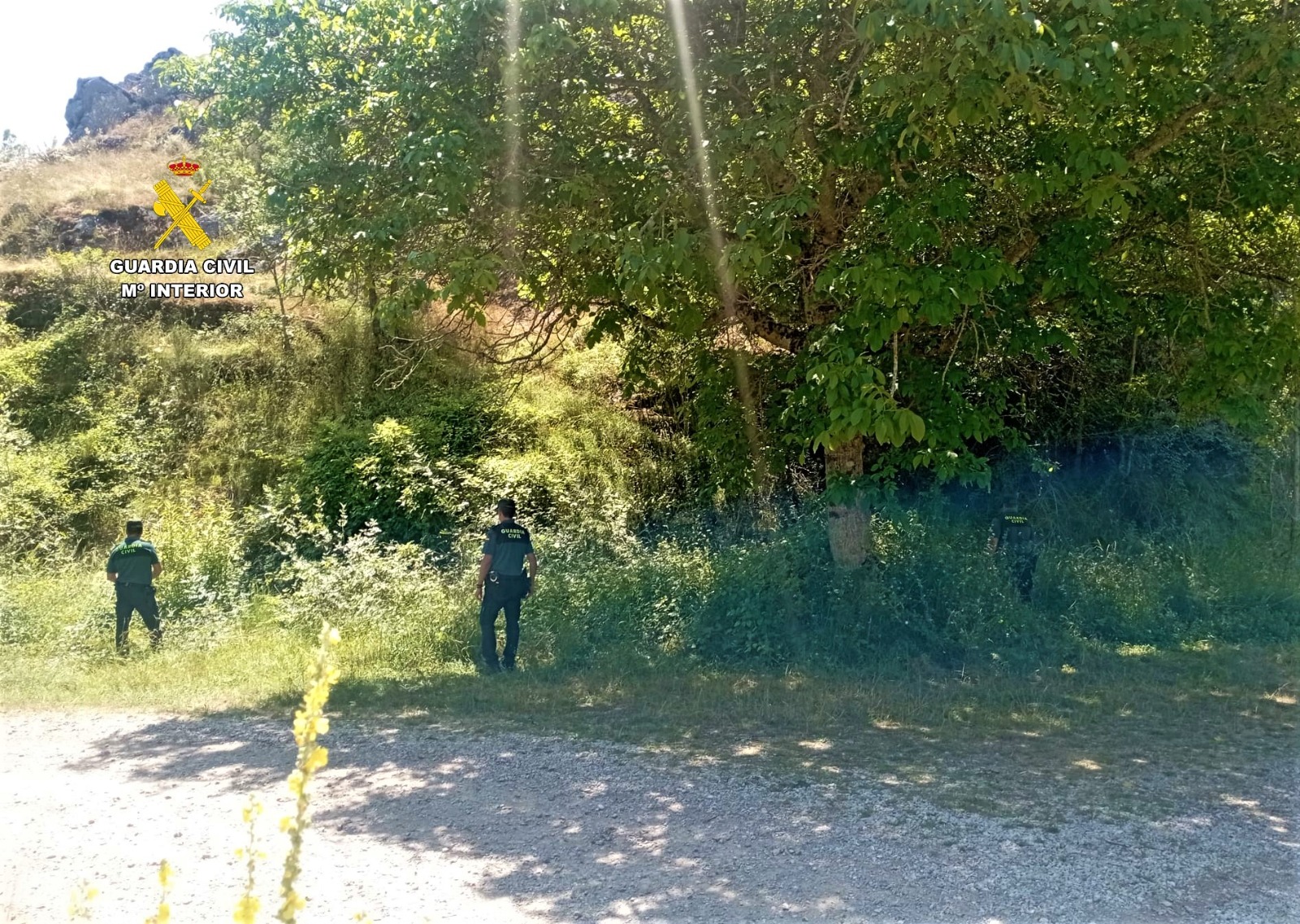 WhatsApp Image 2025 07 22 at 08.29.50