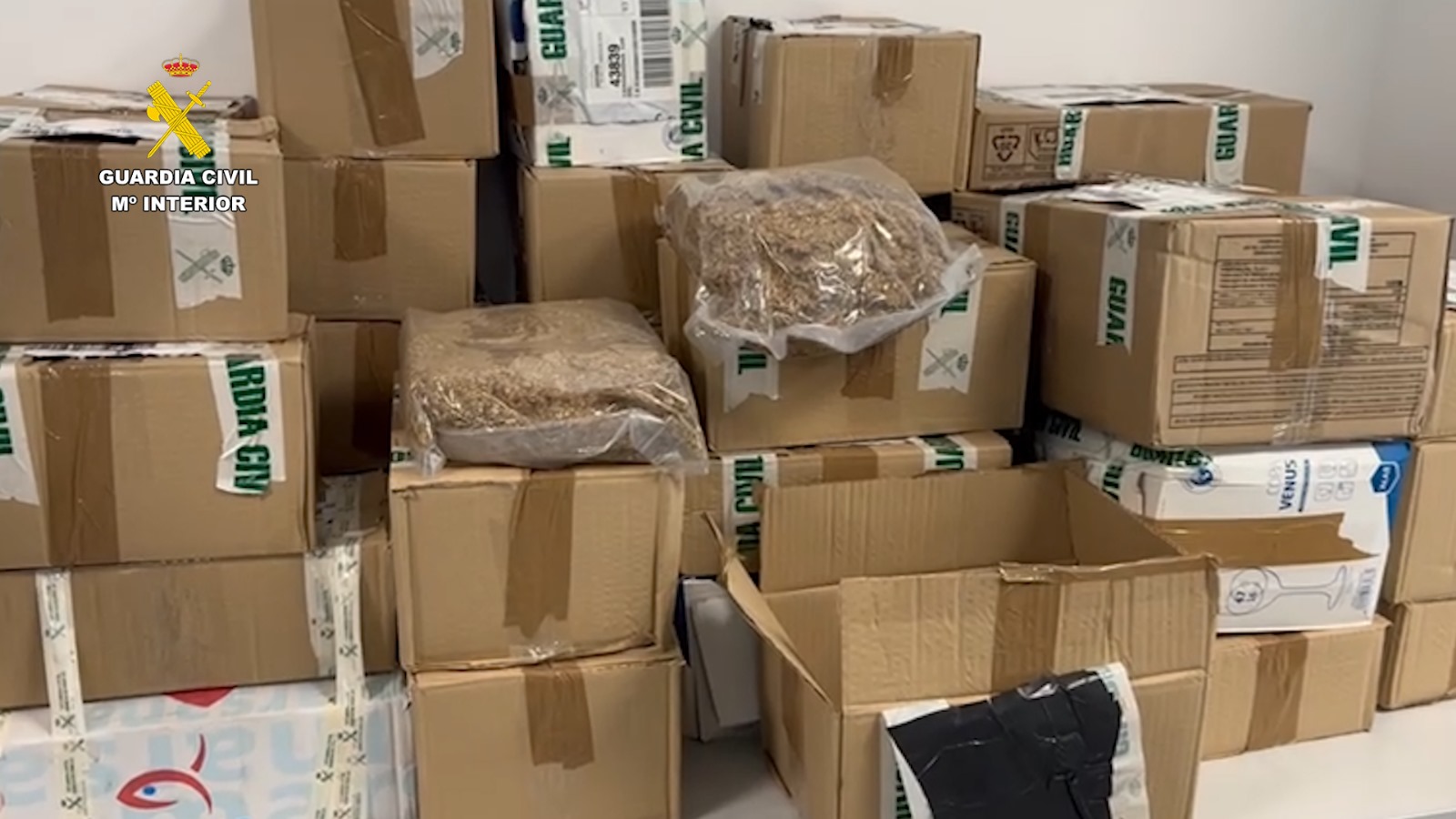 WhatsApp Image 2025 11 20 at 11.57.05