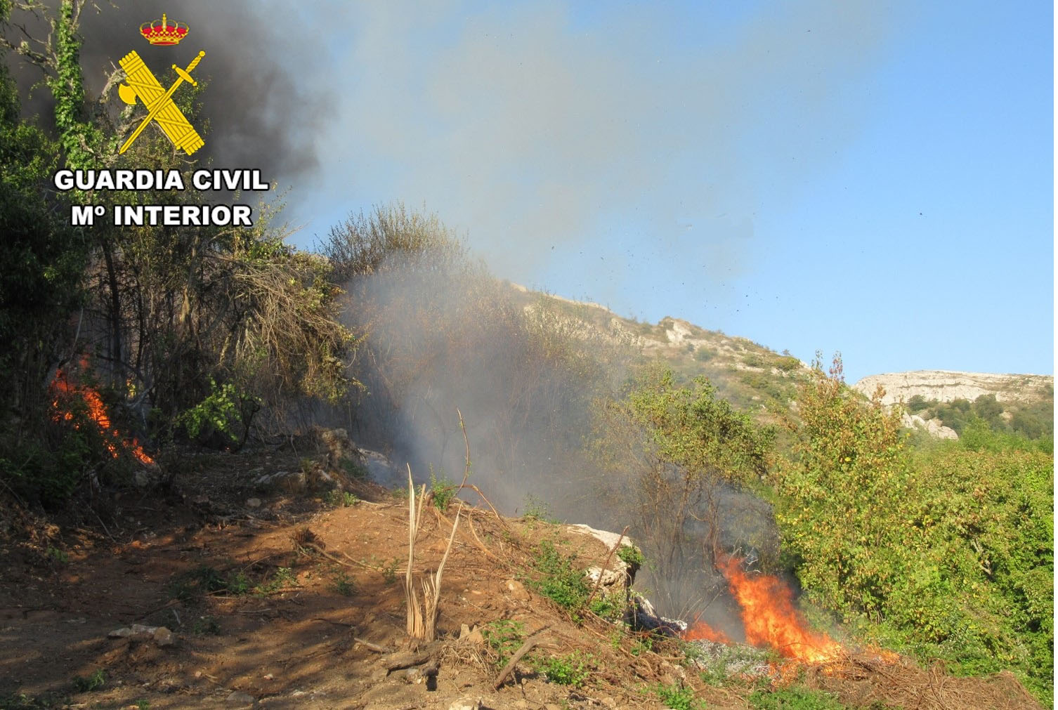 WhatsApp Image 2025 11 20 at 13.36.28