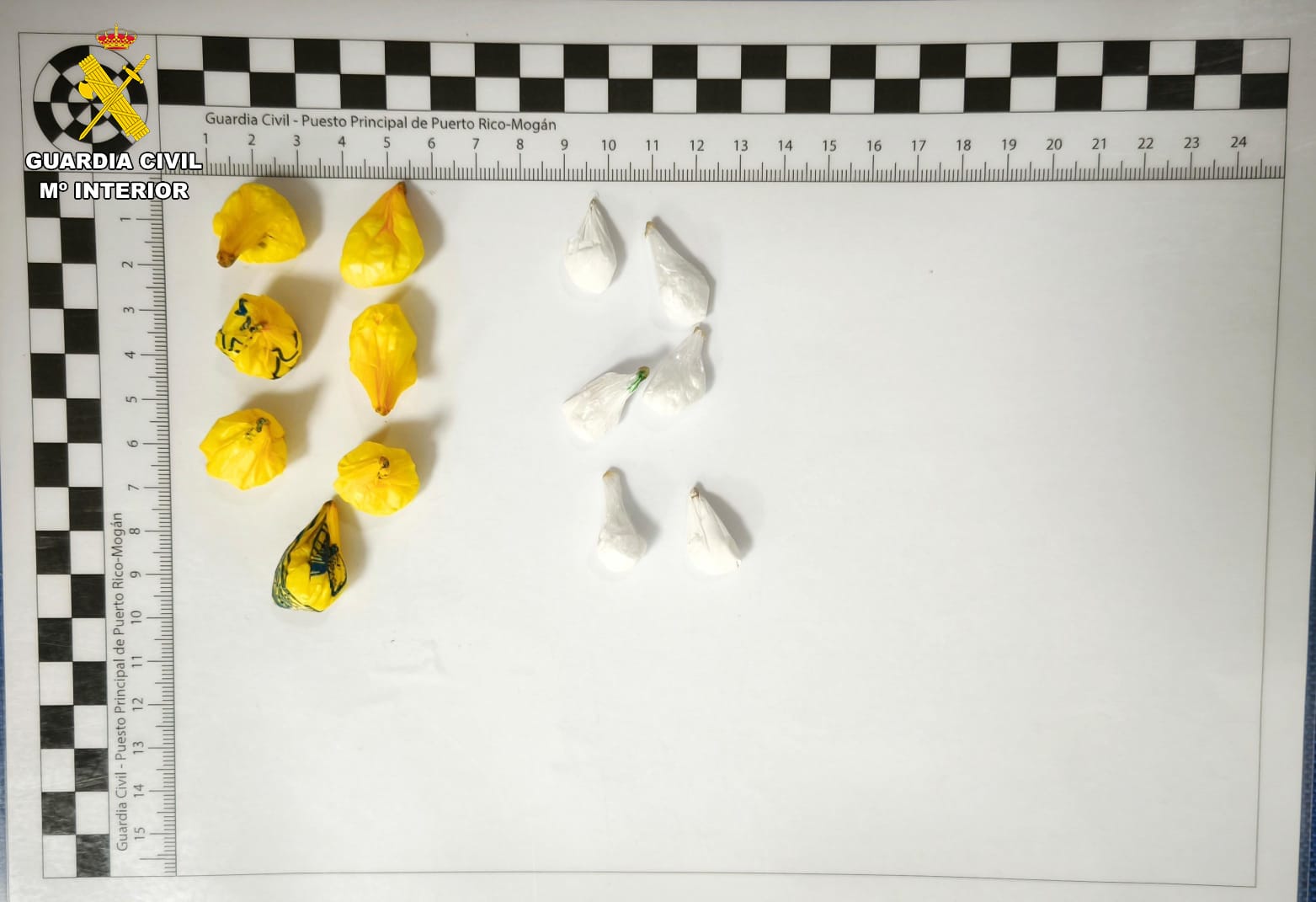 WhatsApp Image 2025 11 25 at 12.43.30