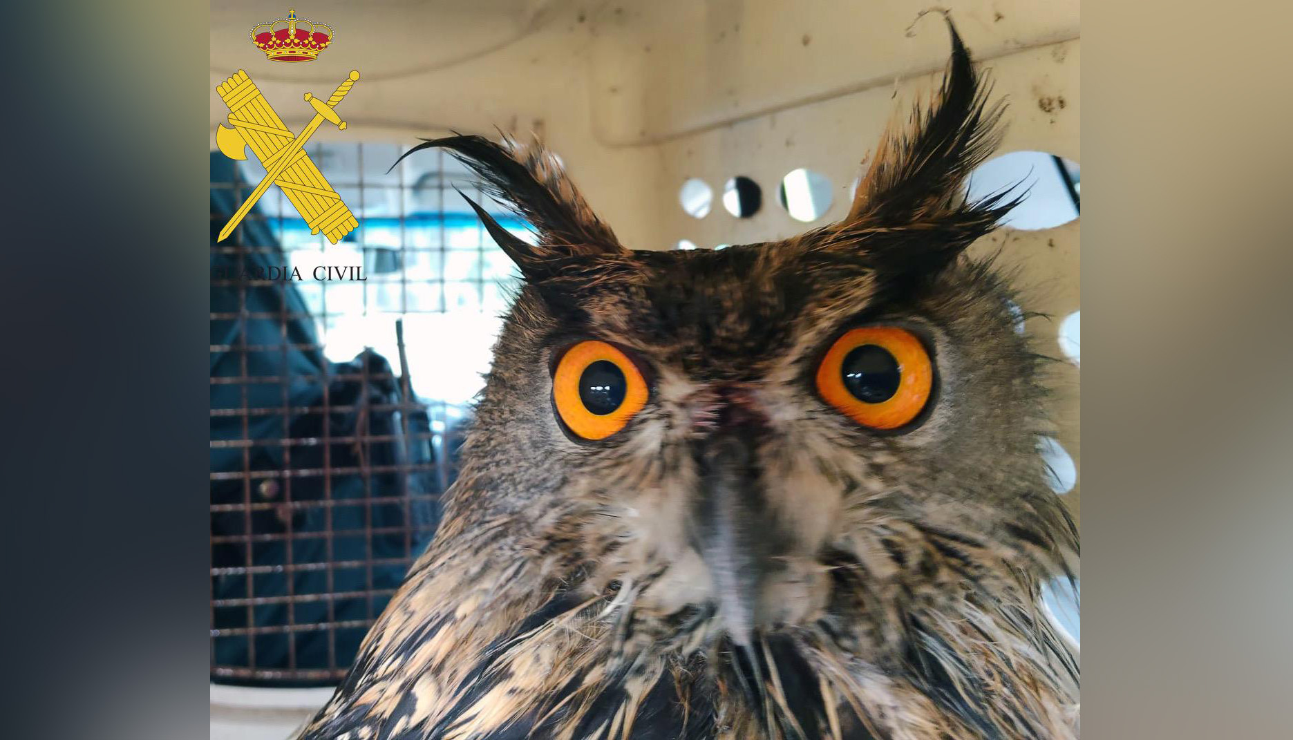 WhatsApp Image 2025 11 26 at 13.31.35