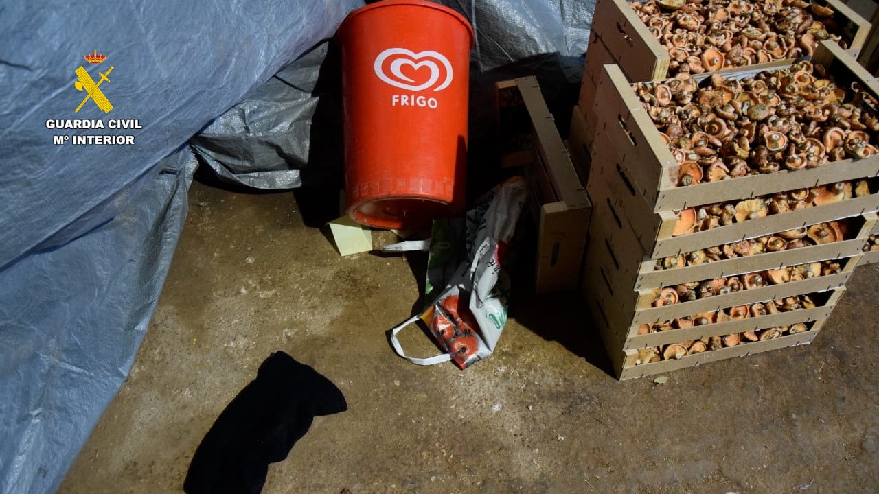 WhatsApp Image 2026 01 30 at 15.47.42