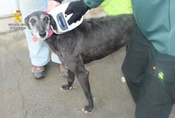 WhatsApp Image 2026 03 02 at 12.26.54