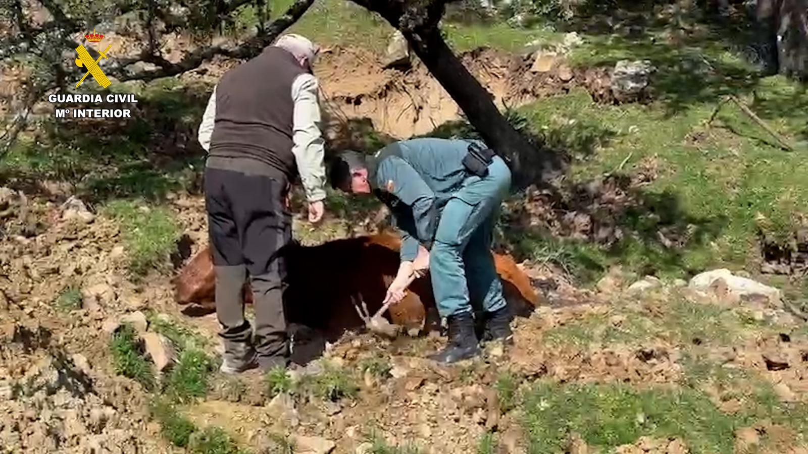 WhatsApp Image 2026 03 03 at 12.56.42