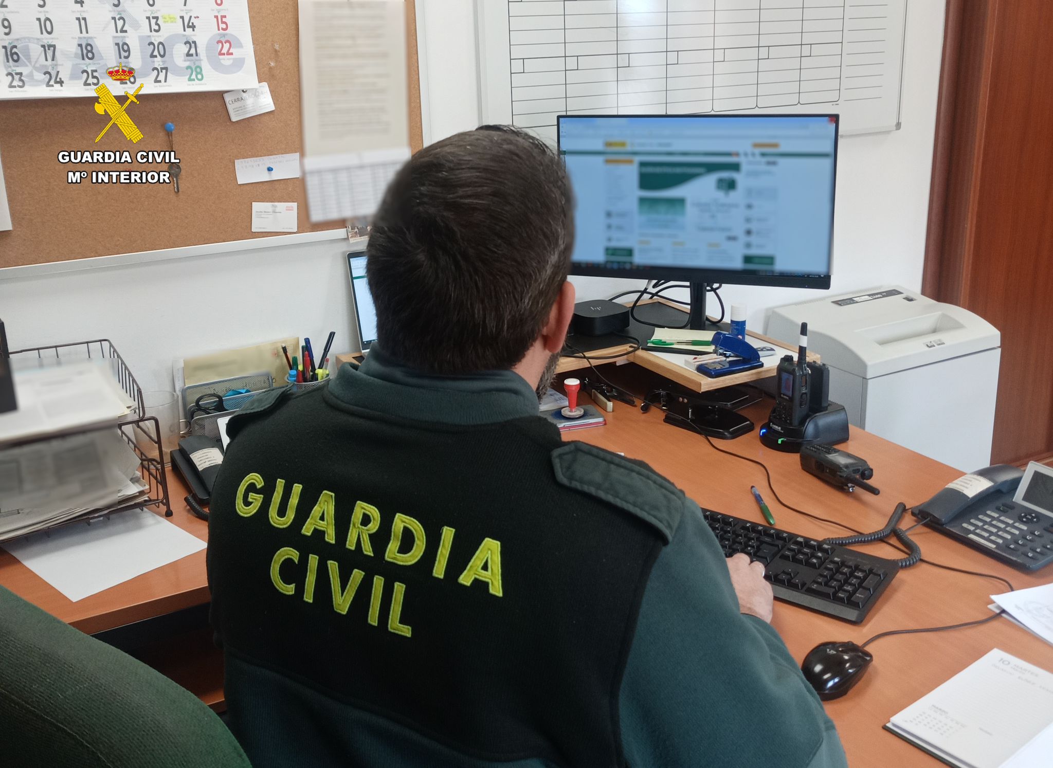 WhatsApp Image 2026 03 04 at 12.52.52