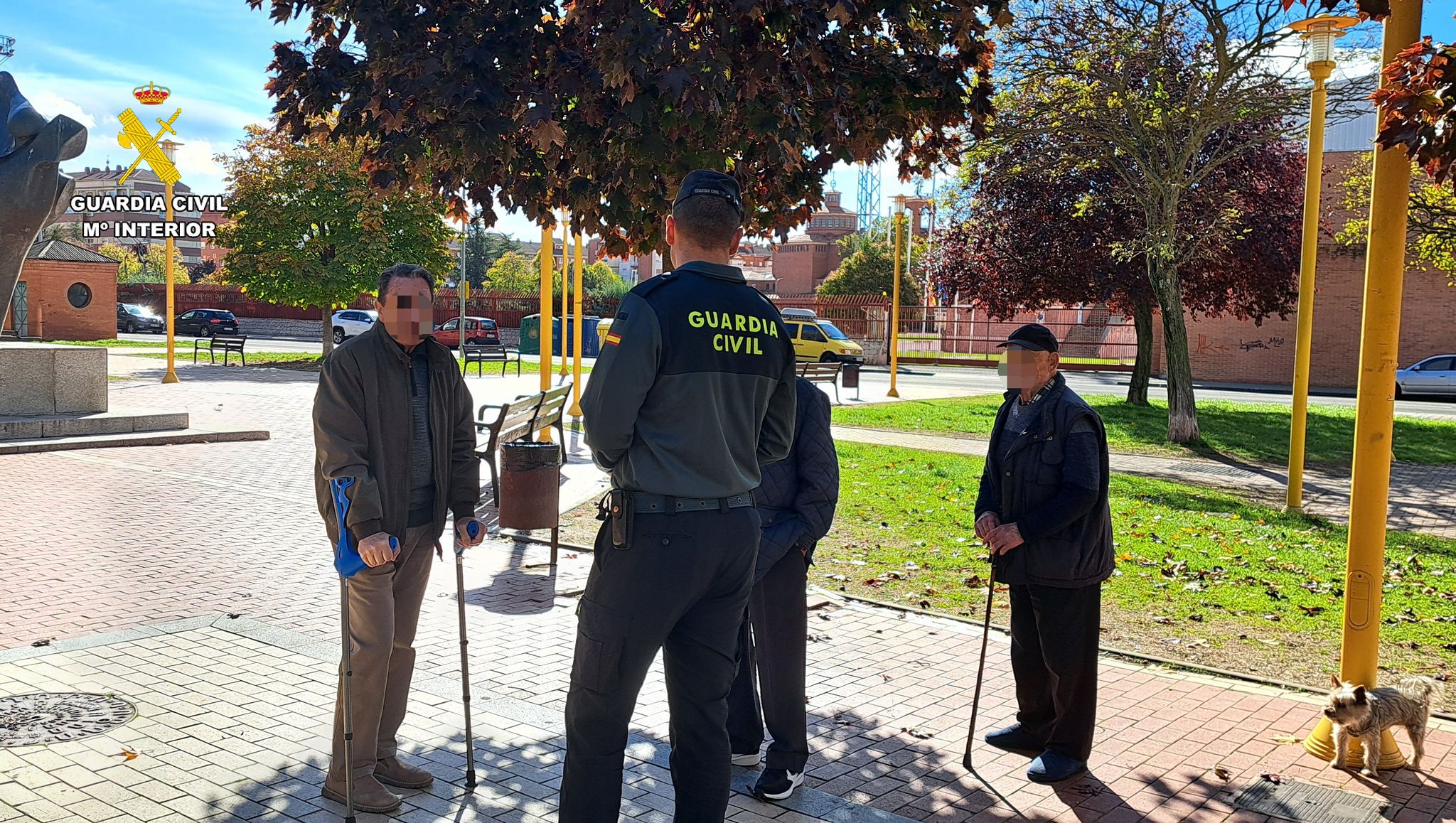 WhatsApp Image 2026 03 11 at 12.22.25