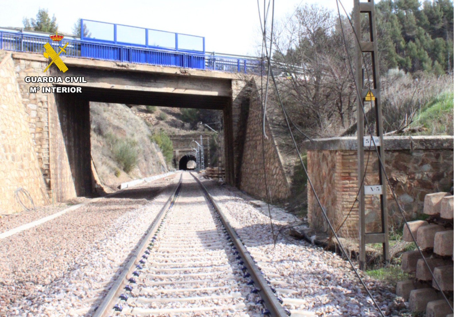 WhatsApp Image 2026 03 19 at 10.57.57