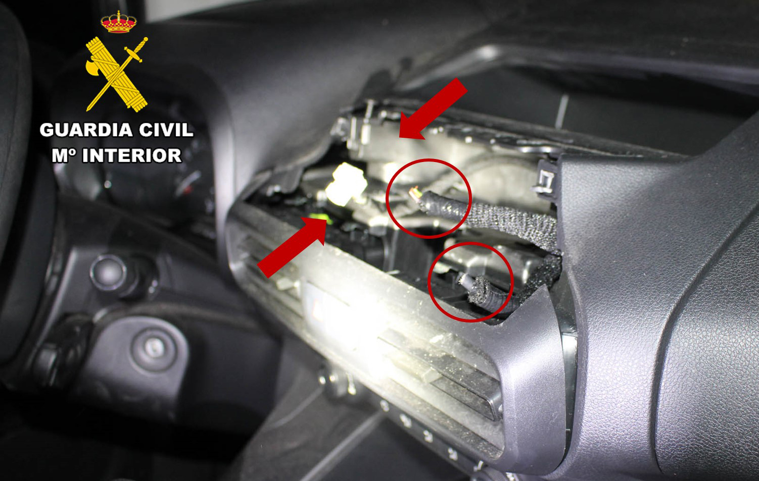 WhatsApp Image 2026 03 23 at 11.31.45