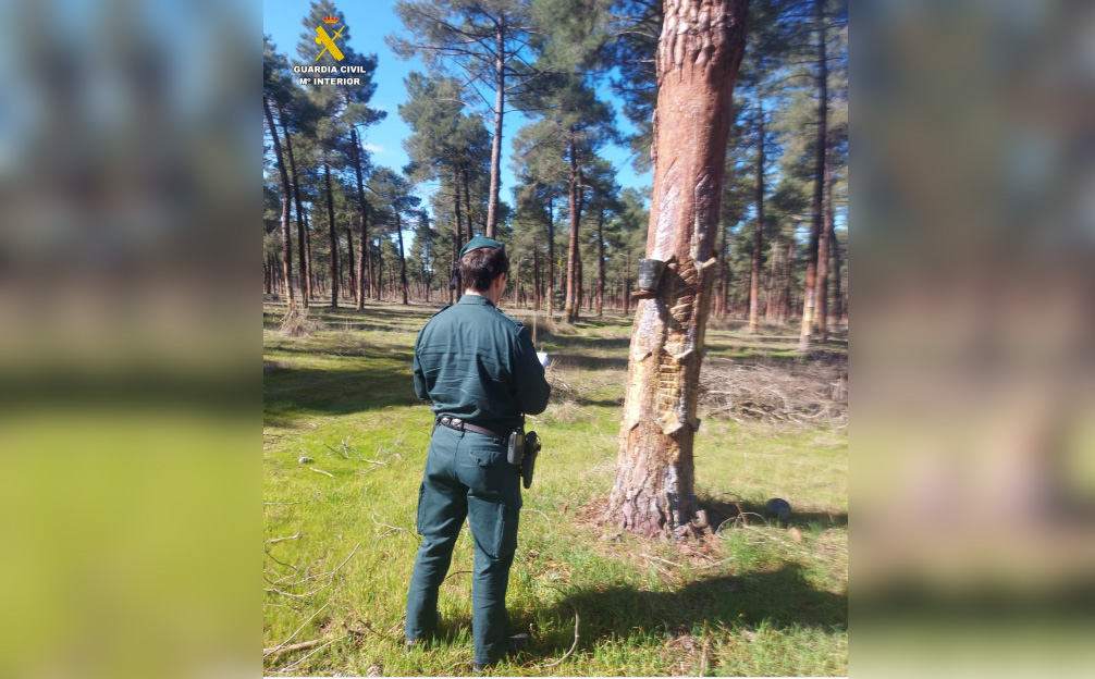 WhatsApp Image 2026 03 25 at 10.01.32