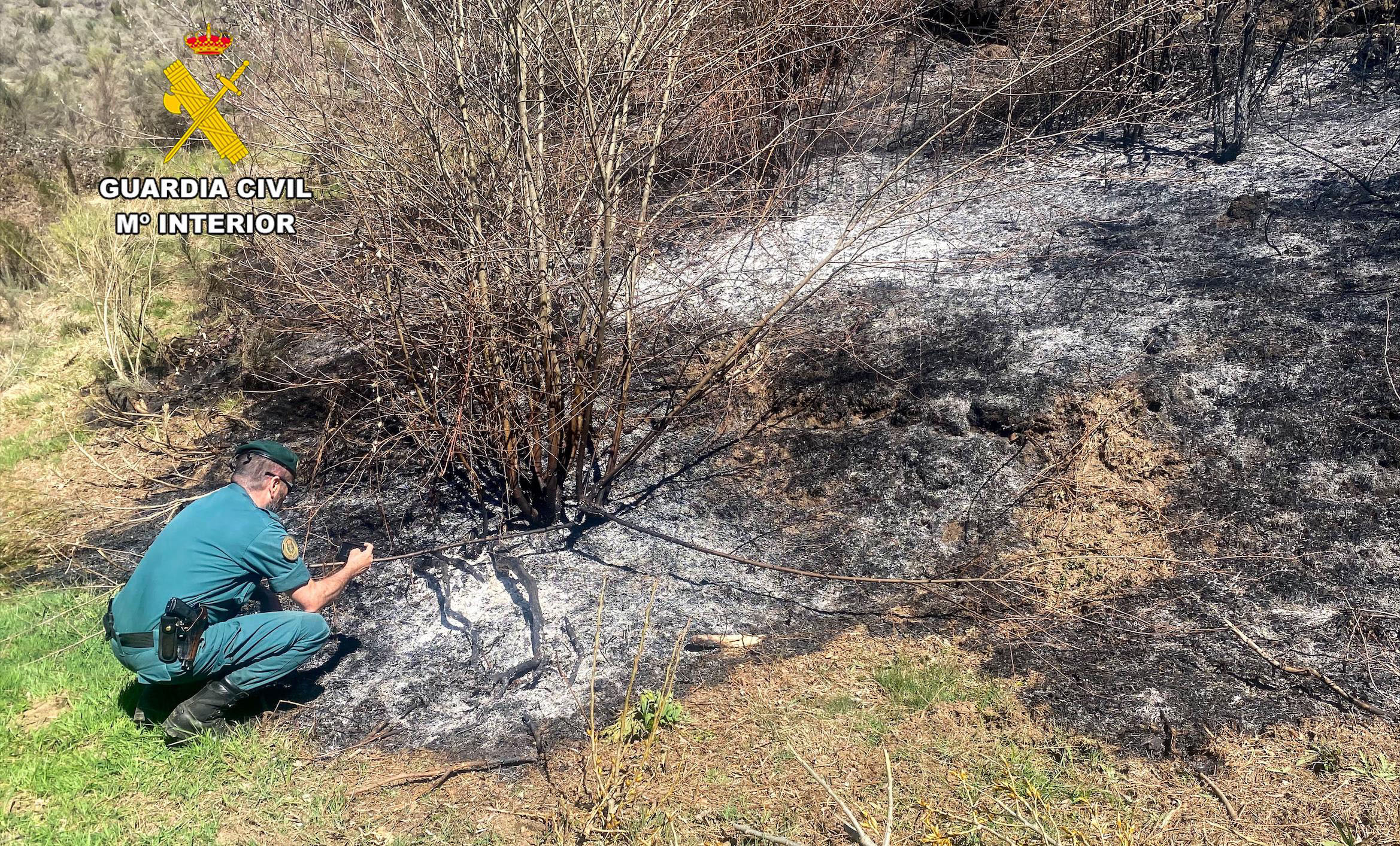 WhatsApp Image 2026 03 28 at 09.30.16