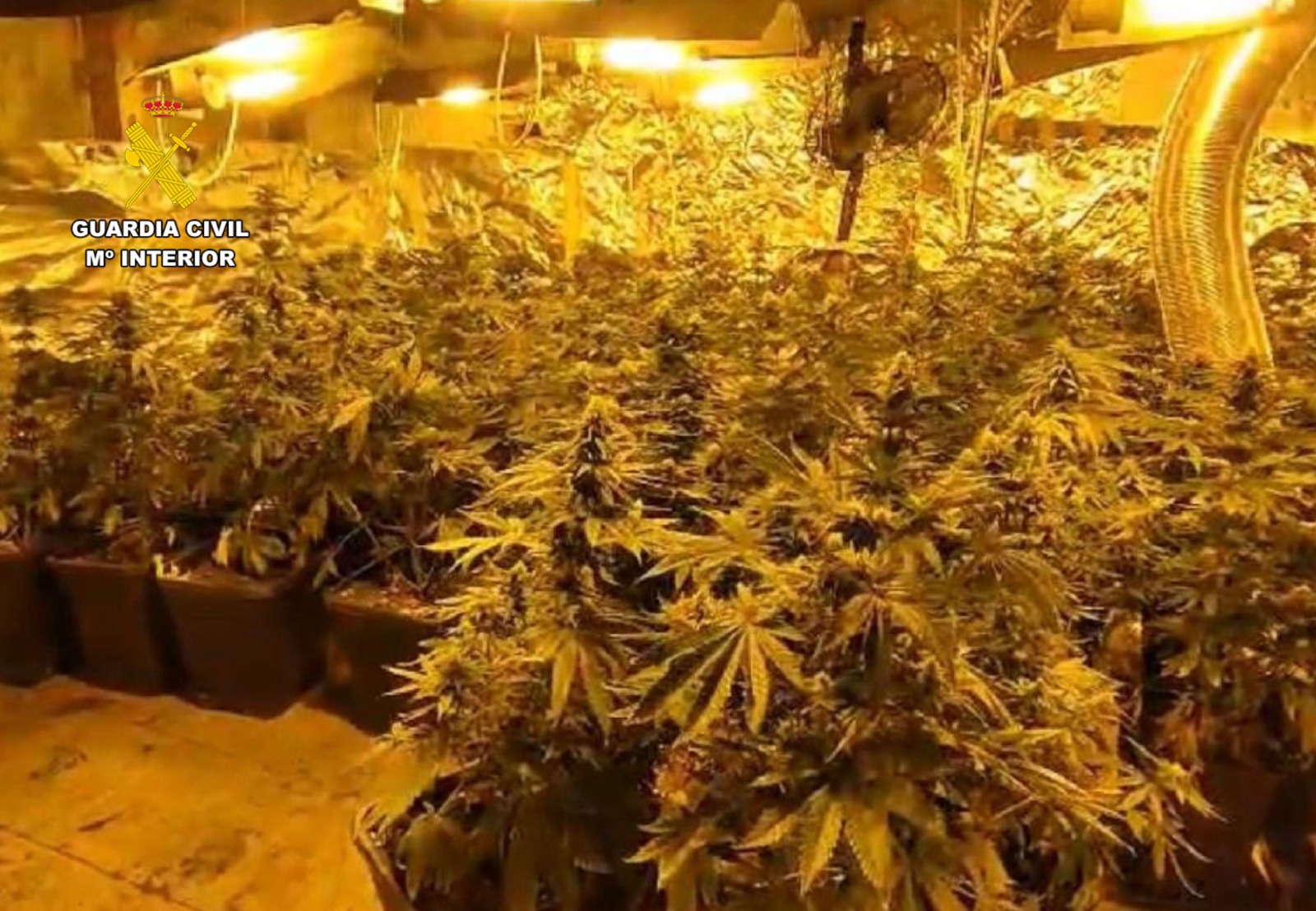 WhatsApp Image 2026 03 30 at 11.54.26