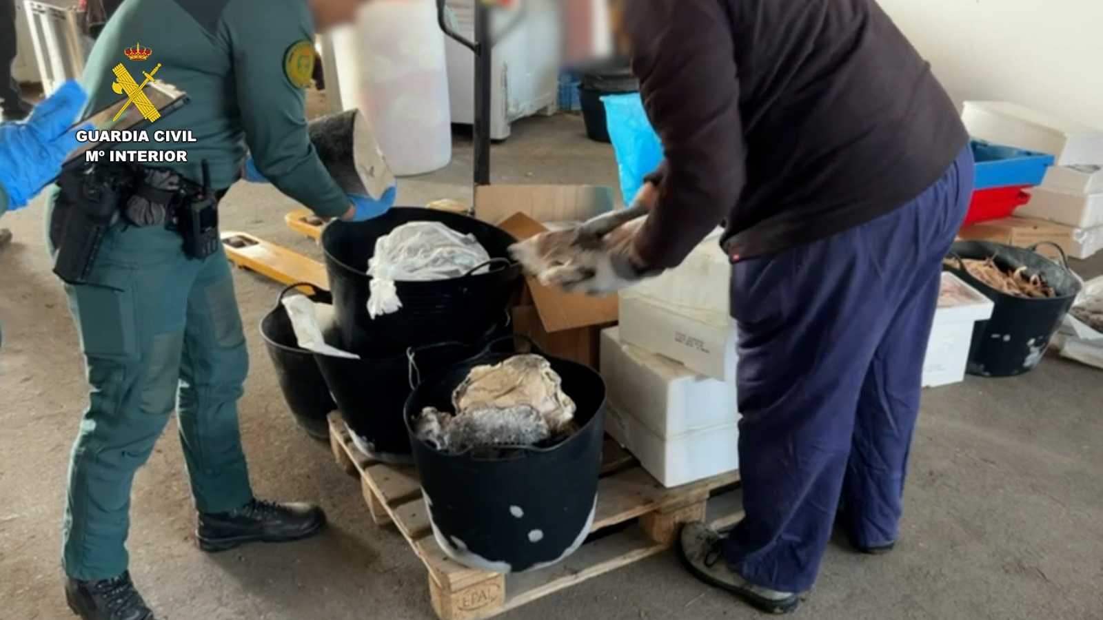 WhatsApp Image 2026 04 01 at 09.08.57