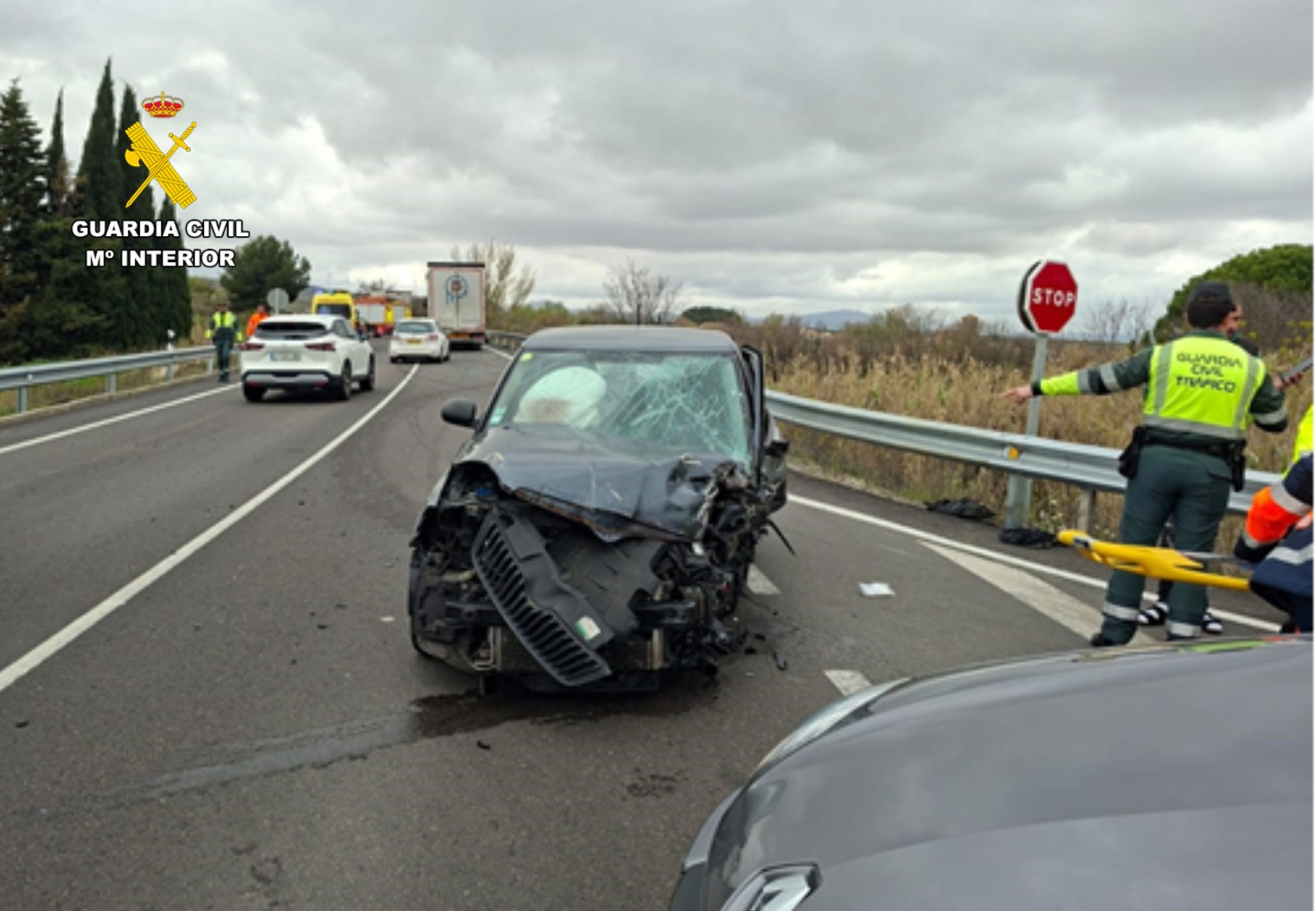 WhatsApp Image 2026 04 01 at 10.29.55