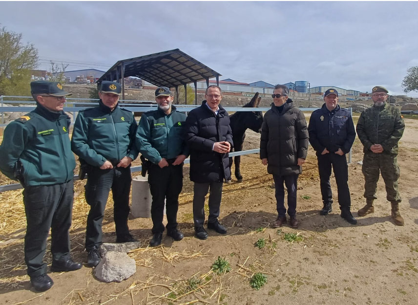 WhatsApp Image 2026 04 06 at 18.54.05