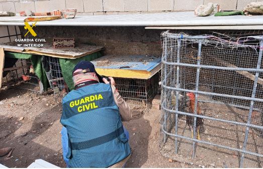 WhatsApp Image 2026 04 21 at 12.38.49