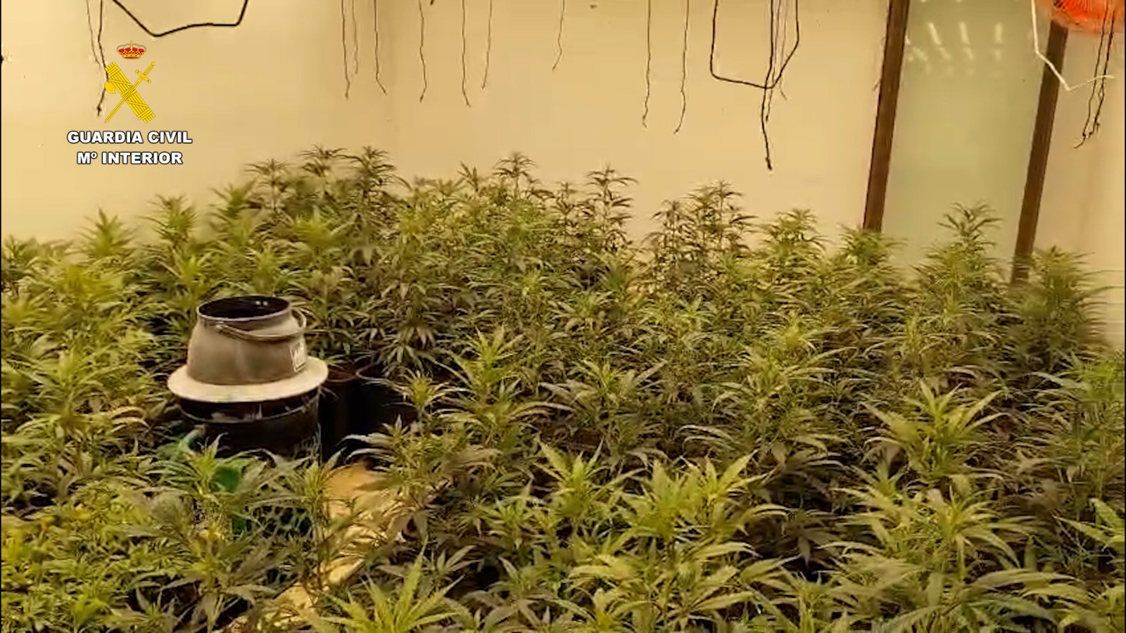 WhatsApp Image 2026 04 22 at 11.13.44