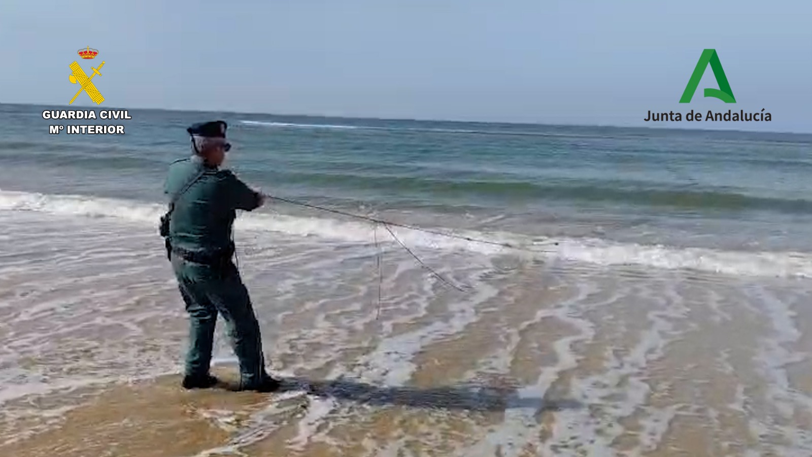 WhatsApp Image 2026 04 24 at 14.10.20